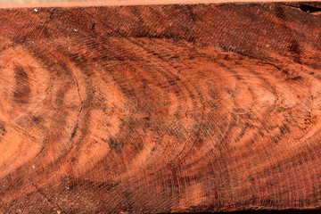 The abstract natural slab wood texture of the background. The creative concept of ecological...