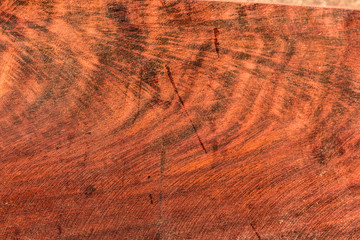 Naklejka premium The abstract natural slab wood texture of the background. The creative concept of ecological nature. Background mahogany pattern.