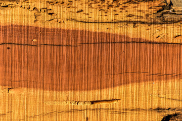 The abstract natural slab wood texture of the background. The creative concept of ecological...