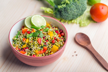 sprouted lentil salad