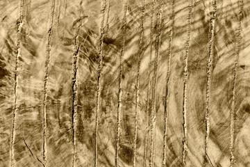 The abstract natural slab wood texture of the background. The creative concept of ecological nature. Background mahogany pattern.