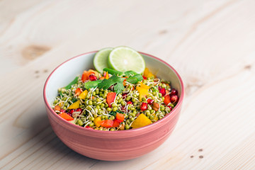 sprouted lentil salad