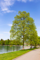 Walk street near lake Thun and castle with Stockhorn in Bern Switzerland