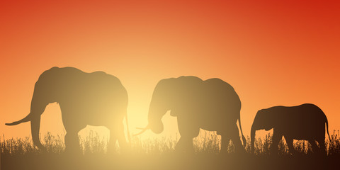 Fototapeta na wymiar Realistic illustration with silhouette of three elephants on safari in Africa. Grass and red-orange sky with rising sun, vector
