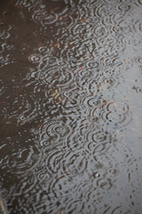 Raindrops2