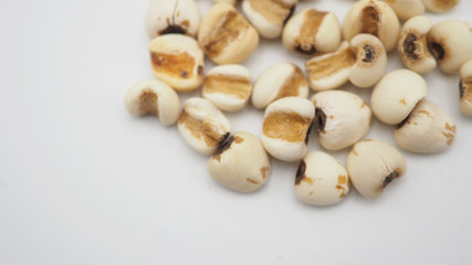 Job's Tears, also known as adlay and coix on white background. Popular in Asian cultures as a food source.