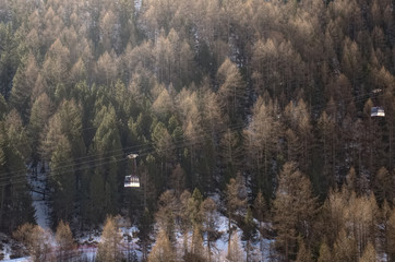 Gondola passing in front of pine forest wide angle view.