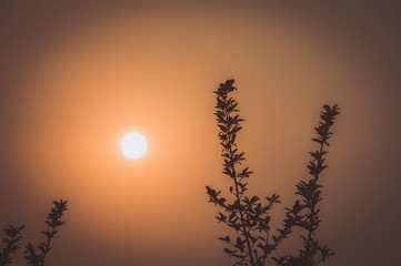 Before sunset in silhouette.