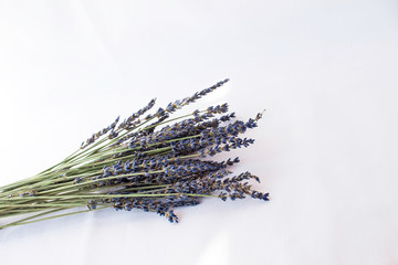 Dry lavender isolated on a white cloth background