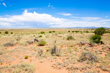 Scenic desert in New Mexico, USA