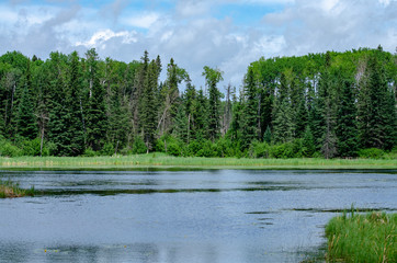 Fototapeta premium Tranquil landscape scene at Hickey Lake at Duck Mountain Provincial Park