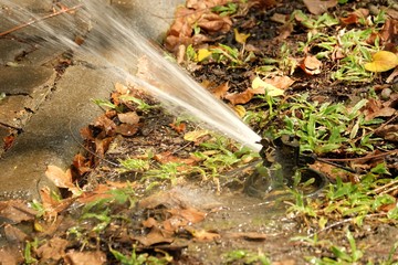 In selective focus  of Irrigation sprinkler system with moisture water on the ground floor and sun light 