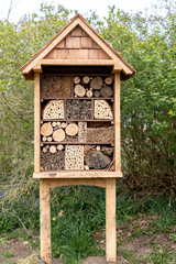 woodpile in the forest