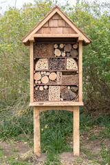 woodpile in the forest