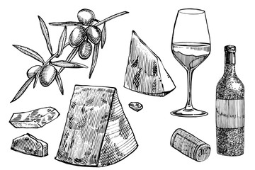 Set of vine products. Illustration in sketch style. Hand drawn design elements. Isolated on white background. Engraving style illustrations.