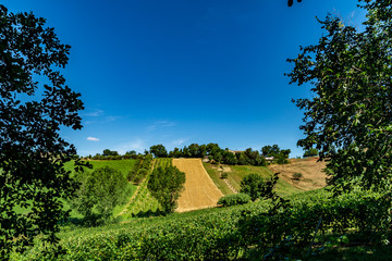 Paesaggio rurale marchigiano