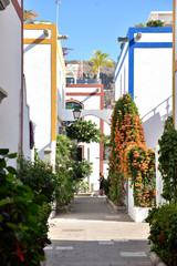 Fototapeta na wymiar Gran Canaria, Colorful architecture building house with bouganville