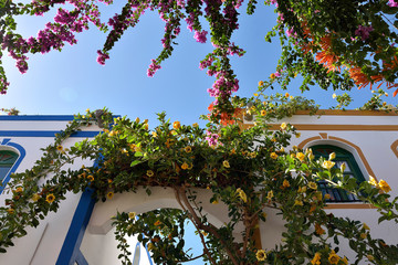 Fototapeta premium Gran Canaria,Colorful architecture building house with bouganville