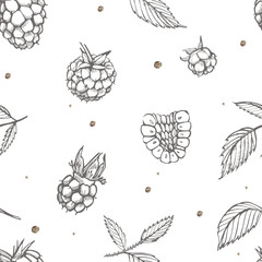 Hand drawn raspberry. Retro sketch style illustration. Perfect for invitation, wedding or greeting cards. Seamless pattern.
