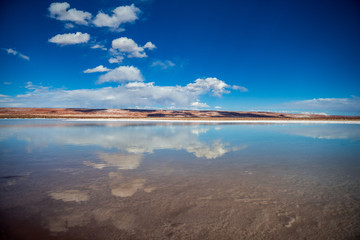 Cloud reflections in the laguna escondida in the San Pedro de Atacama desert Salt flat