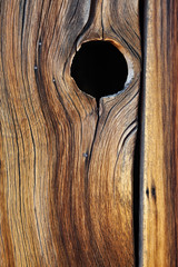 Fototapeta premium Fence Detail
