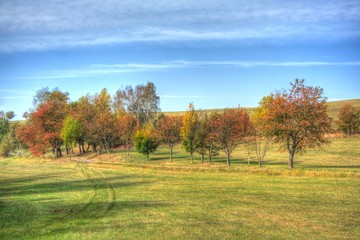 Fototapeta premium krajina