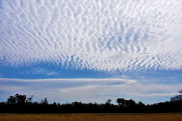 Beautiful Clouds