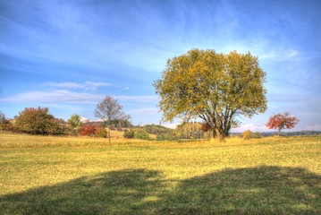 Fototapeta premium krajina