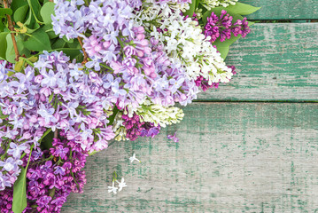 Bunch of purple, white lilacs on the old paint wooden background with copy space