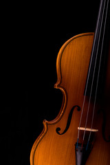 Violin music instrument closeup isolated on black © Irina Ukrainets