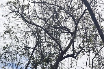 Paisajes de Nicaragua