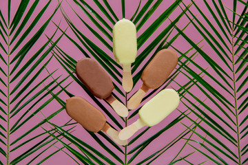 Chocolate and cream ice-creams with palm leaves