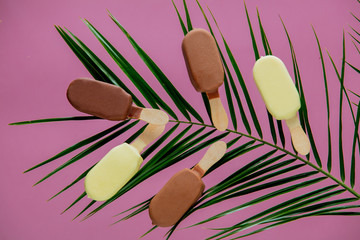 Chocolate and cream ice-creams with palm leaves