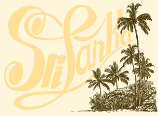 Inscription, palm trees and tropical thickets on the sand