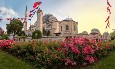 Sehzade Camii or the Prince Mosque on sunset with flowers, Istanbul, Turkey
