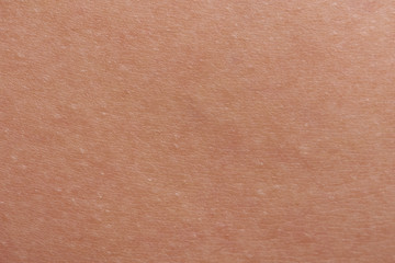 Macro of clean human skin