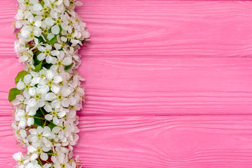 Spring wooden background, fresh blooming tree flower on color background.