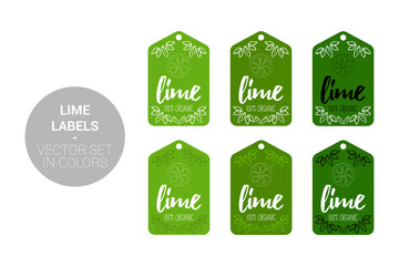 Lime fruit Eco labels vector set in green, dark green colors. Cartoon Advertising hundred percent organic Stickers. Citrus fruit Badges with Hand drawn lime and little leaves ready for web and Print
