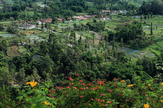 Aerial view, Lembang, West Java, Indonesia