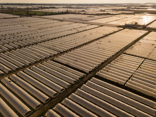 Aerial photo of greenhouses shot from above