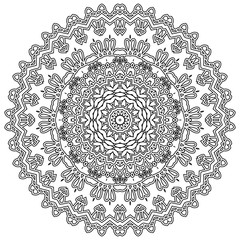 vector and decorative mandala, a mix of floral and geometrical shapes and patterns