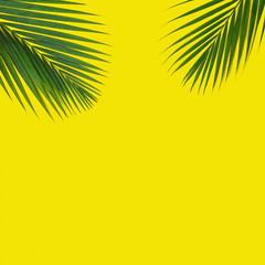 Tropical green palm leaves on yellow background. Minimal nature summer concept. Top view, flat lay, copy space.