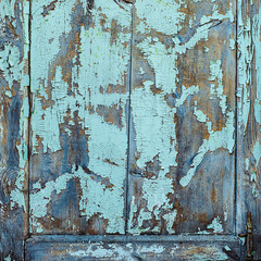 Texture of old rusty wood, painted blue with spots of first wood layer.