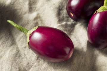 Raw Organic Purple Indian Eggplants