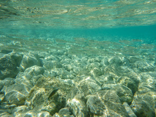 Fototapeta na wymiar UNDERWATER view a small fish flock in the turquoise clear water and white pebbles scattered off the seabed of the Antisamos bay, Kefalonia island, Ionian Sea, Greece.