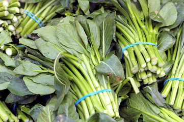Obraz premium choy sum oil seed rape asian green at the farmers market