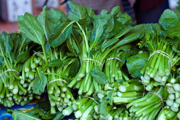 yu choy sum asian green vegetable at the farmers market