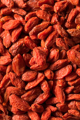 Raw Red Organic Goji Berries