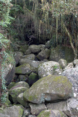Rocks pile at rainforest at Ilhabela island, Brazil