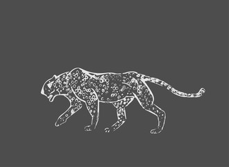 Cheetah. Hand drawn ink sketch. Horizontal drawing. Vector engraving. Predator line art. White line illustration isolated on dark gray background.